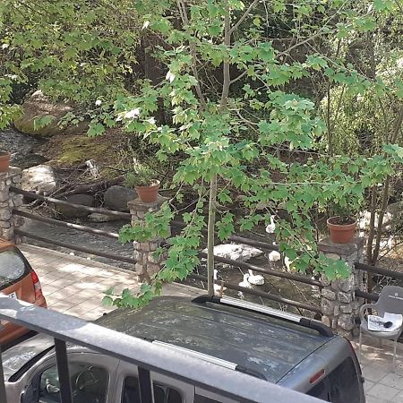 Apartamentos Pinos Genil Εξωτερικό φωτογραφία