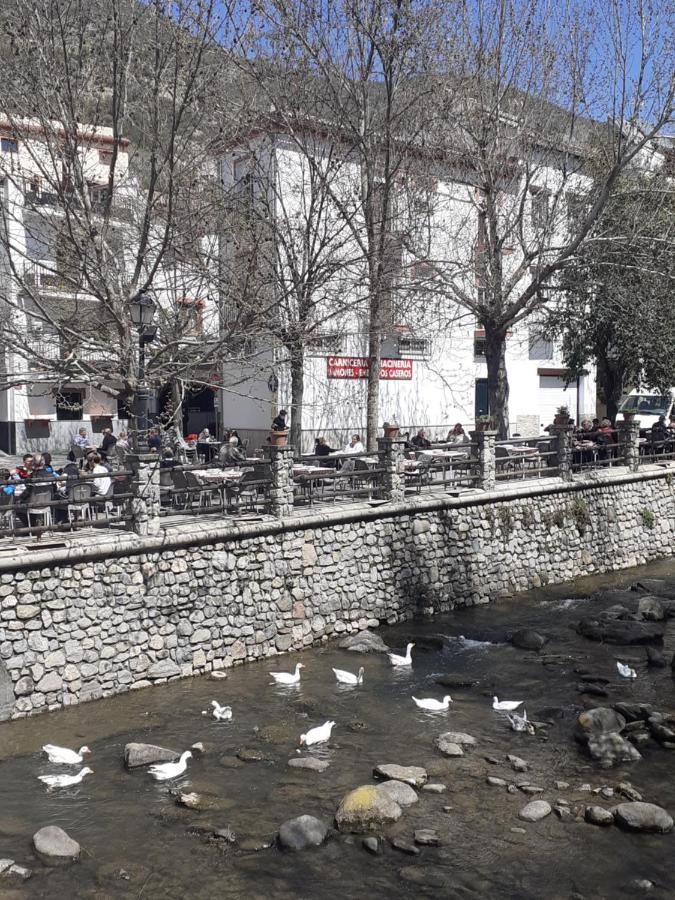 Apartamentos Pinos Genil Εξωτερικό φωτογραφία